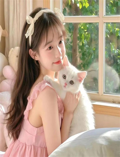 文化分析：代号Qualidea中的投资的金额规模与风险控制 理解作品的时代背景与文化语境